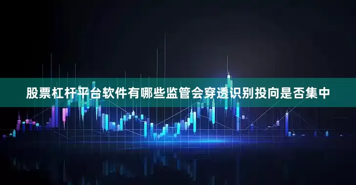 股票杠杆平台软件有哪些监管会穿透识别投向是否集中
