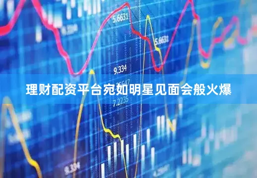 理财配资平台宛如明星见面会般火爆