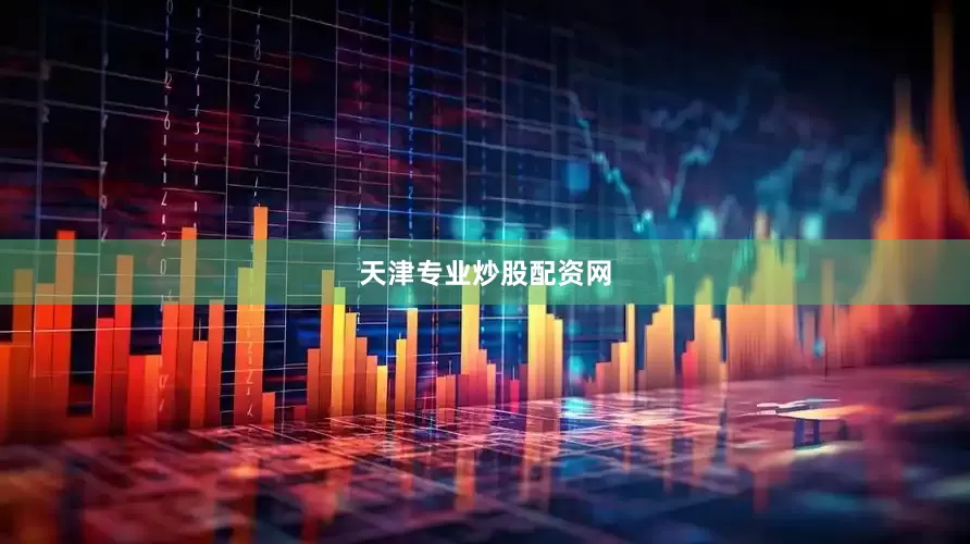 天津专业炒股配资网