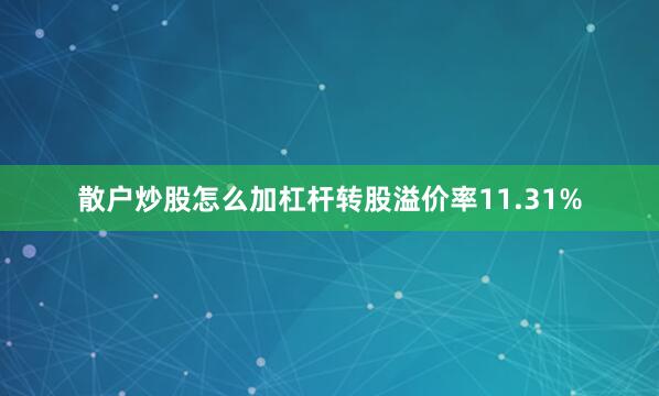 散户炒股怎么加杠杆转股溢价率11.31%