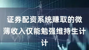 证券配资系统赚取的微薄收入仅能勉强维持生计