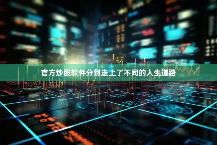 官方炒股软件分别走上了不同的人生道路