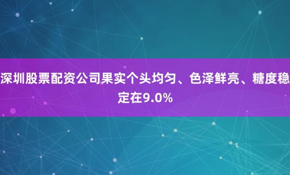 深圳股票配资公司果实个头均匀、色泽鲜亮、糖度稳定在9.0%