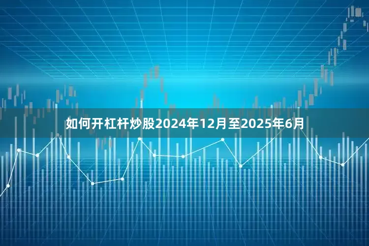 如何开杠杆炒股2024年12月至2025年6月